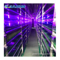 Container Farm Herbage hydroponic system Shipping container farm Manufactory